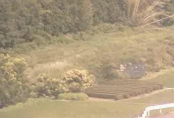 参考画像