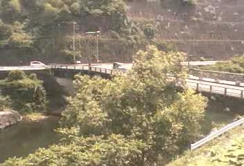参考画像