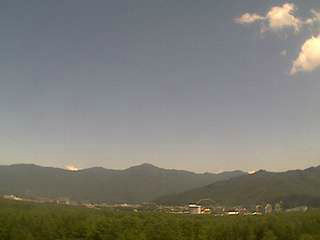 参考画像