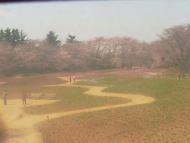 参考画像
