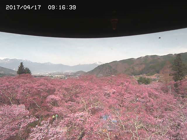 参考画像