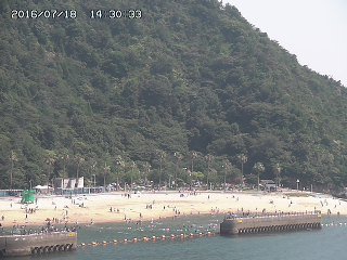 参考画像