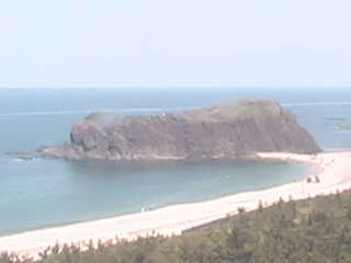 参考画像