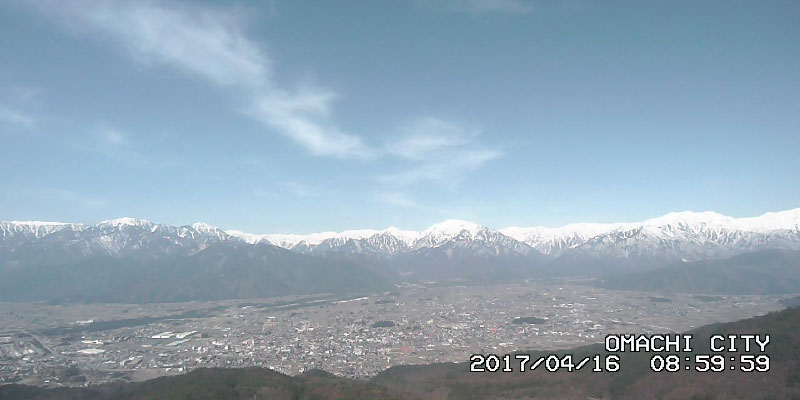 参考画像