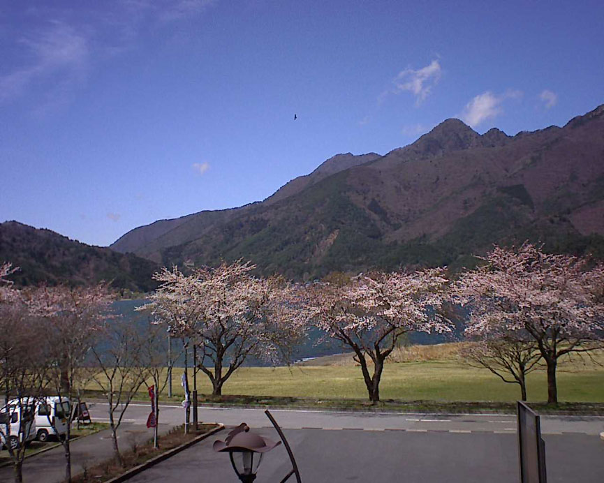 参考画像