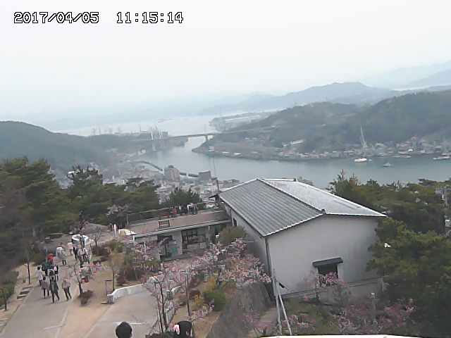 参考画像