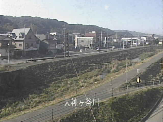 参考画像