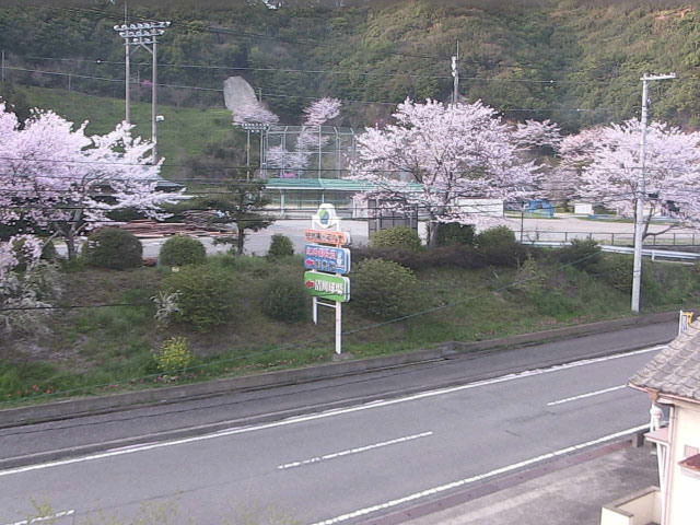 参考画像