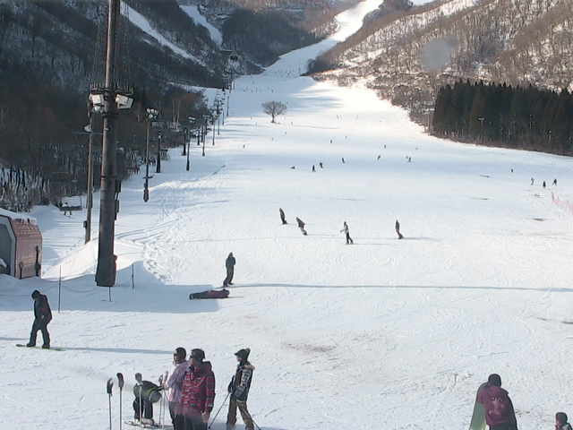 参考画像