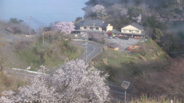 参考画像