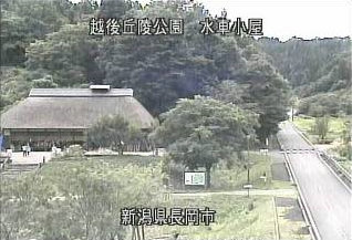 参考画像