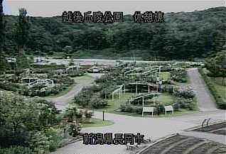 参考画像
