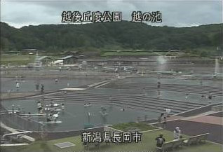 参考画像