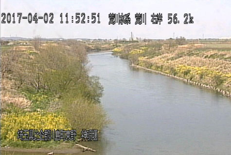 参考画像