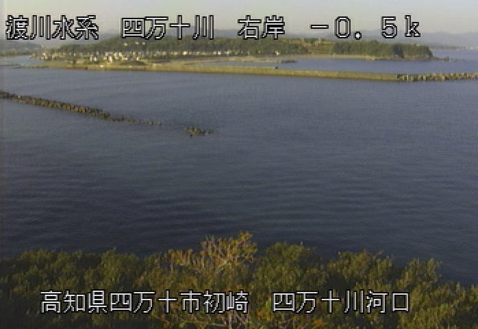 参考画像