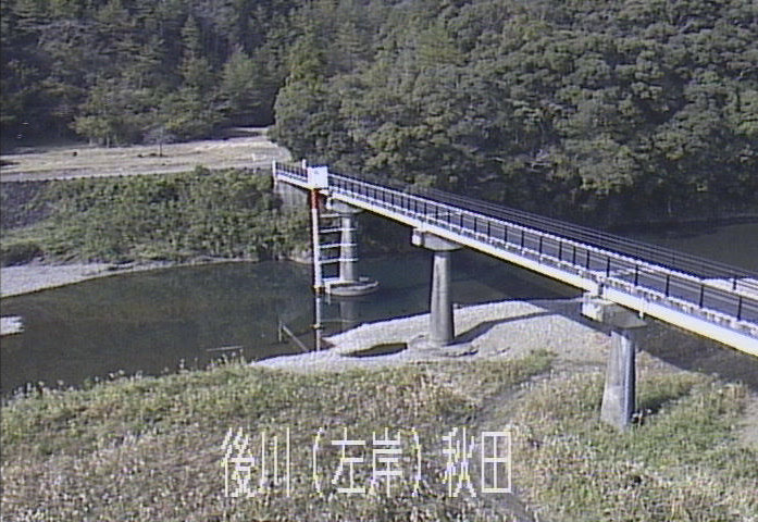 参考画像