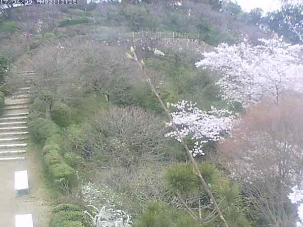 参考画像