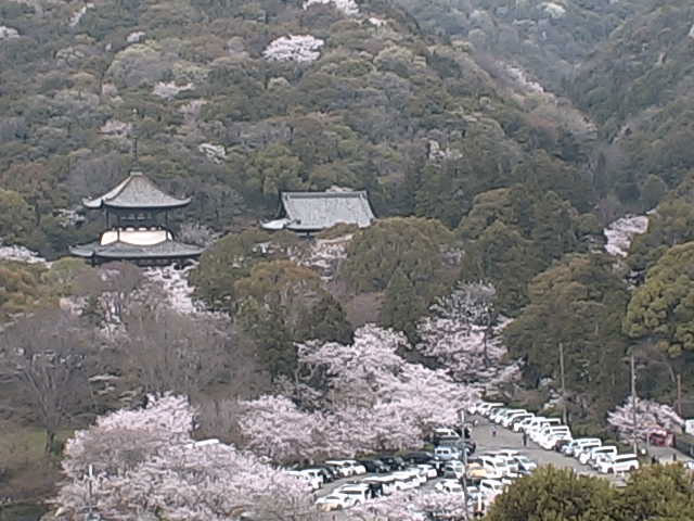 参考画像