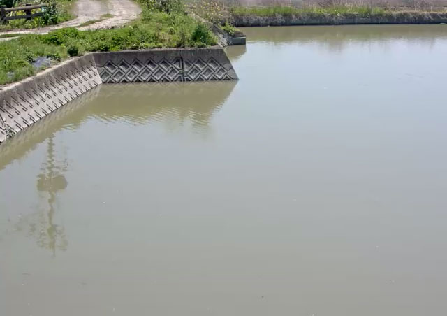 参考画像