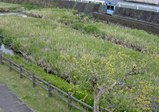 参考画像