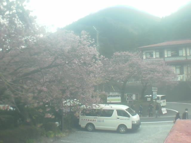 参考画像