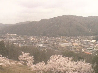 参考画像