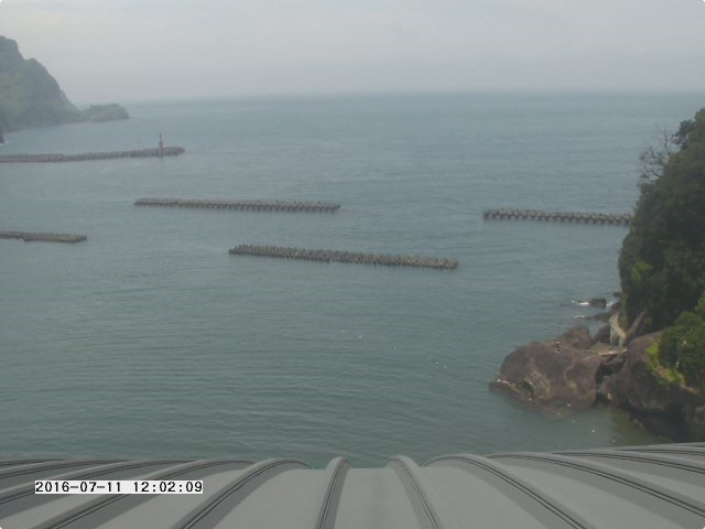 参考画像
