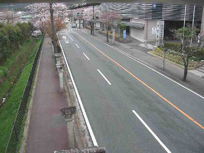 参考画像