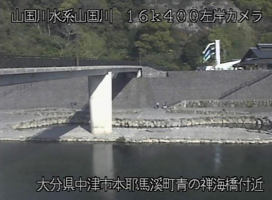 参考画像