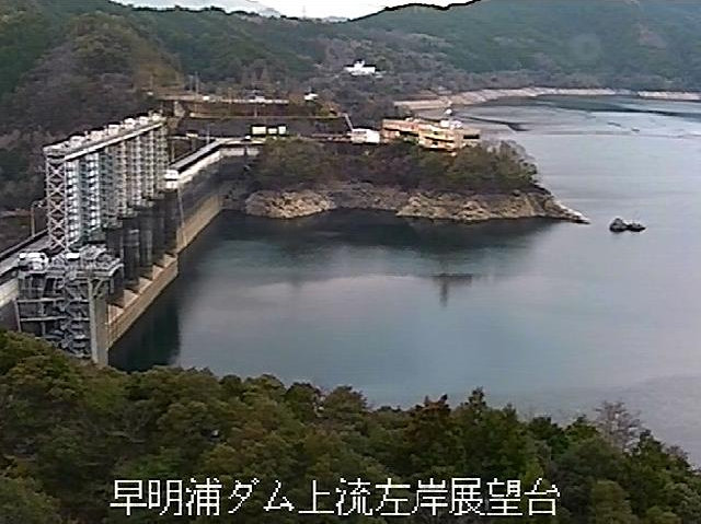 参考画像