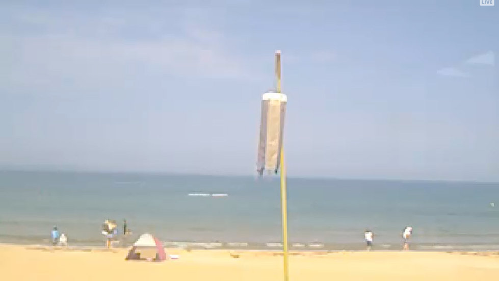 参考画像