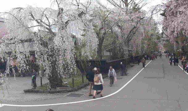 参考画像