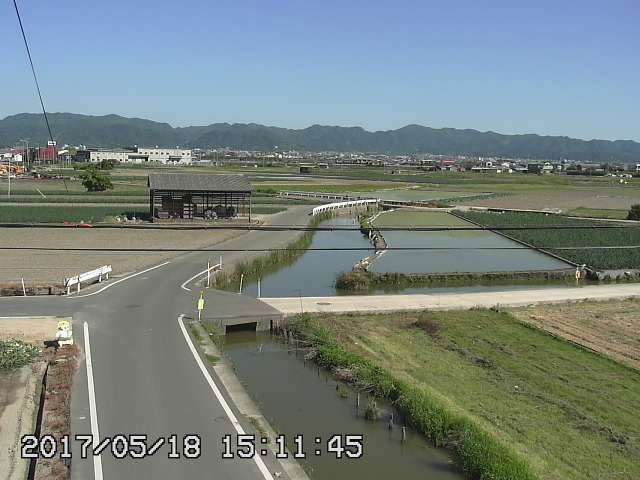 参考画像
