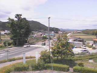 参考画像