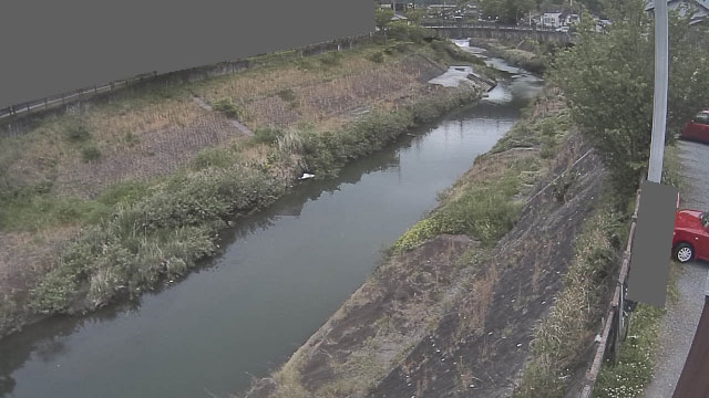 参考画像