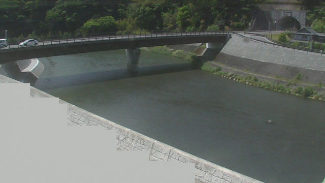 参考画像