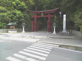 参考画像