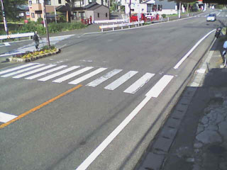 参考画像