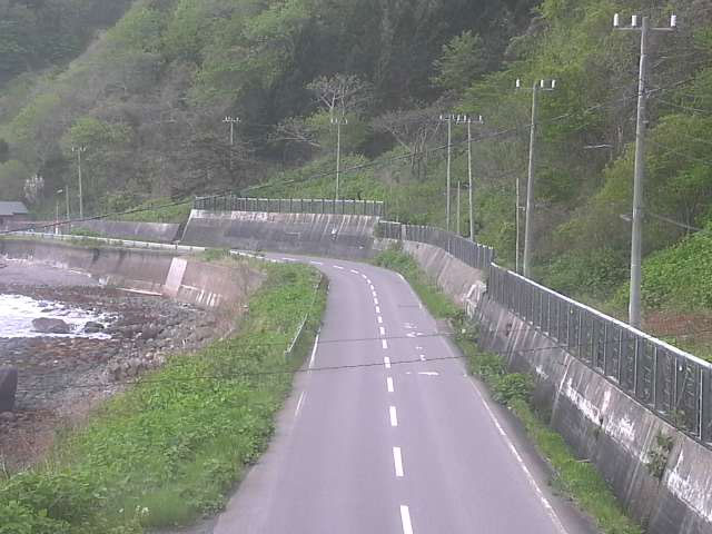 参考画像