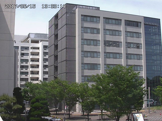 参考画像