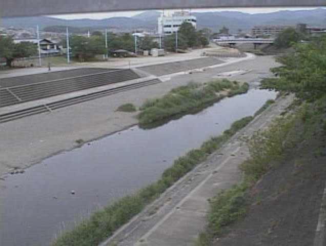 参考画像