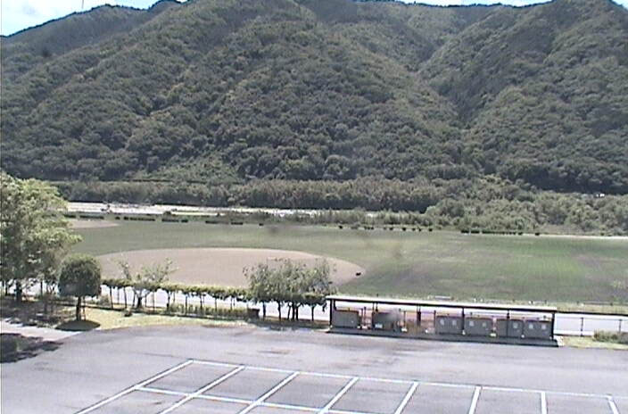 参考画像