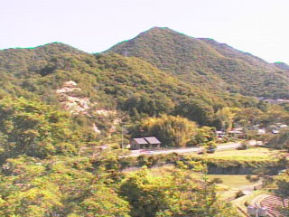 参考画像