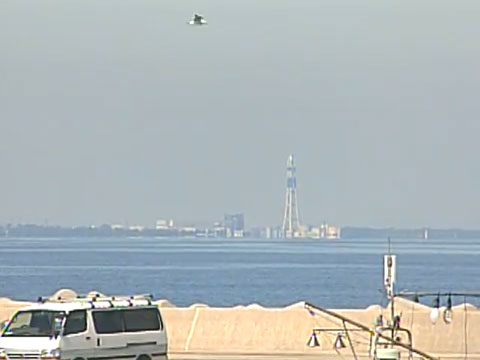 参考画像