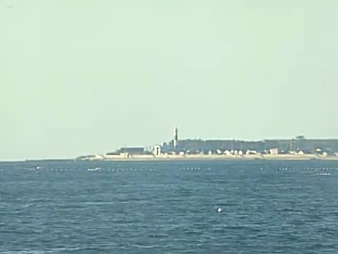 参考画像