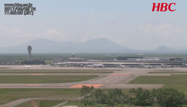 参考画像