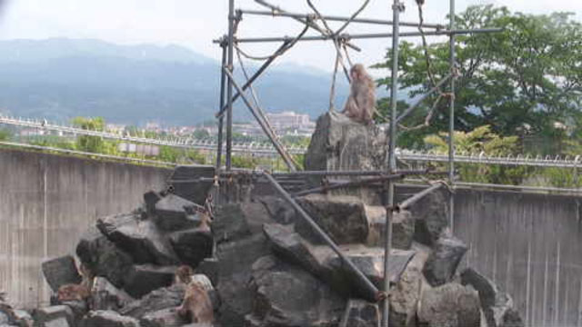 参考画像