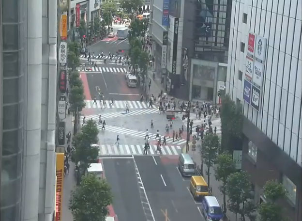 参考画像
