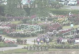 参考画像