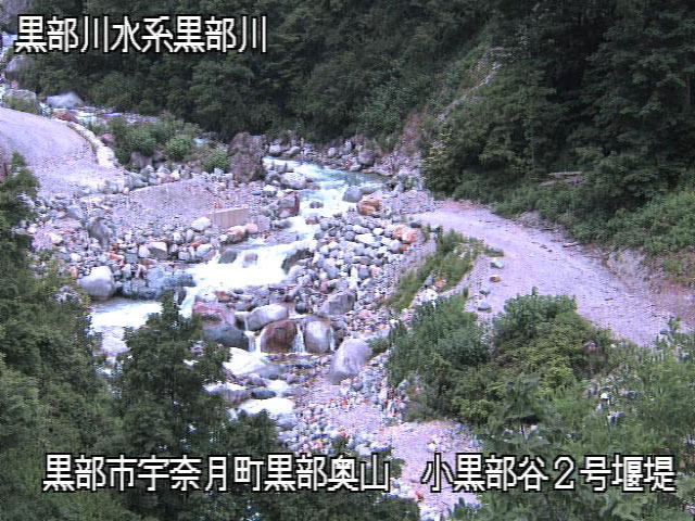 参考画像